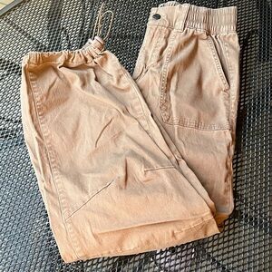 Celebrity Pink Casual Brown Cargo pants